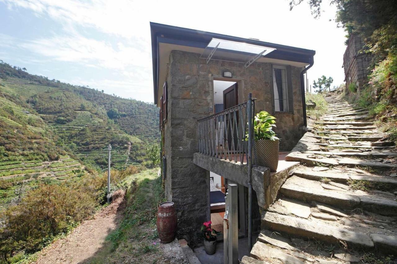 Fiesse Cottage Manarola Kültér fotó